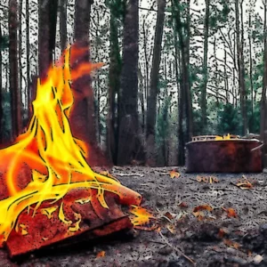 Artistic representation for Outdoor Burning Is Still Closed in Some Areas. What You Need To Know