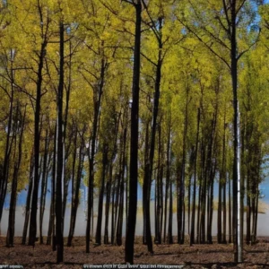 Read more about the article Nonprofit launches $10 million campaign for South Dakota parks and recreation areas