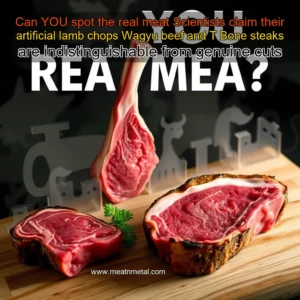Read more about the article Can YOU spot the real meat  Scientists claim their artificial lamb chops  Wagyu beef  and T  Bone steaks are indistinguishable from genuine cuts