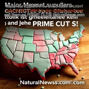 Read more about the article Major meat suppliers in the united states CAUGHT using GLUE on MEAT to stick together scraps and sell them as PRIME CUTS  NaturalNews  com