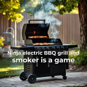 Read more about the article Ninja electric BBQ grill and smoker is a game